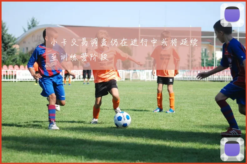 小卡交易调查仍在进行中或将延续至训练营阶段