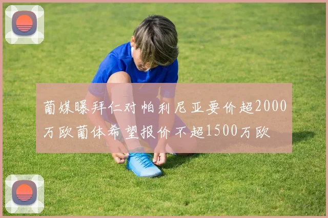 葡媒曝拜仁对帕利尼亚要价超2000万欧葡体希望报价不超1500万欧