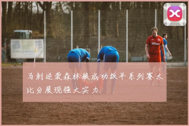 马刺逆袭森林狼成功扳平系列赛大比分展现强大实力